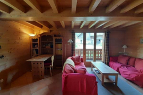 CHARMING CHALET near the slopes !